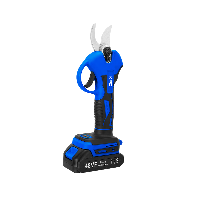 KPQ-BPS-2,5 Brushless Surfing Nries